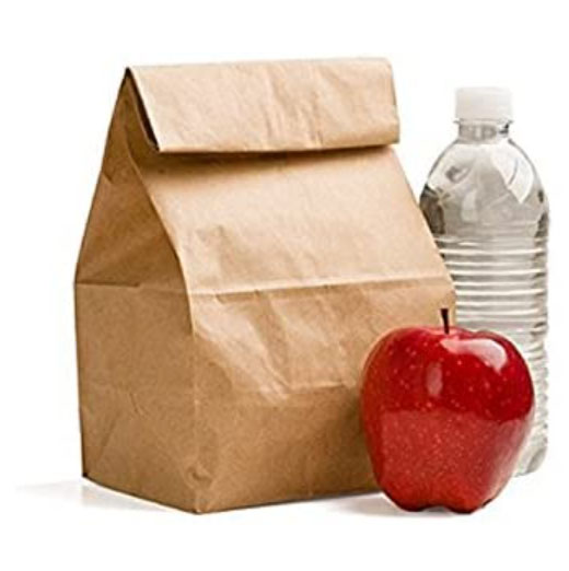 Brown Paper Bag Lunch